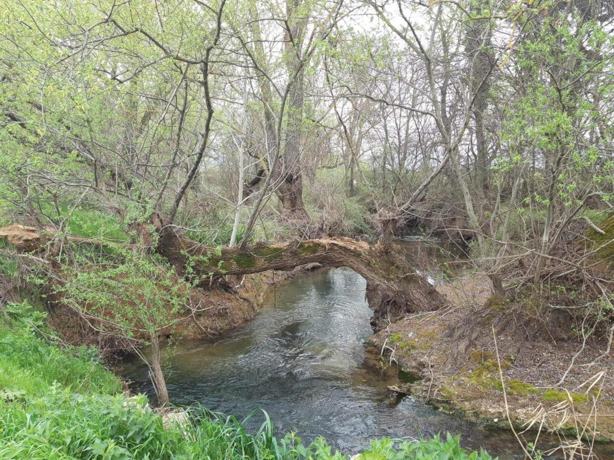 Georgia'S Village House Kondostavlos Kültér fotó