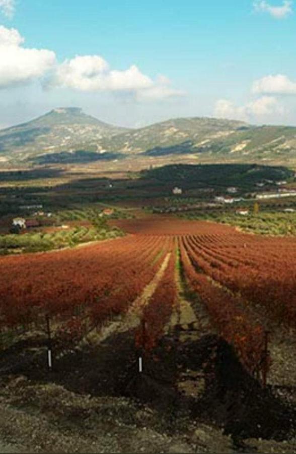 Georgia'S Village House Kondostavlos Kültér fotó